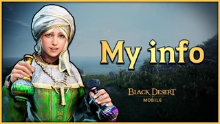 Как выглядит меню персонажа в Black Desert Mobile