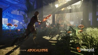 Королевская битва Ashes of Creation Apocalypse осталась практически без игроков в Steam