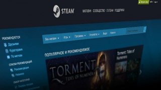 Немецкий регулятор потребовал от Valve «разогнать» нацистов на платформе Steam