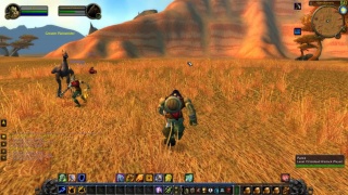 Пользователи World of Warcraft Classic стали избавляться от ботов самостоятельно