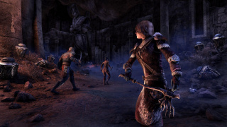 The Elder Scrolls Online «похудела» и обзавелась новым DLC