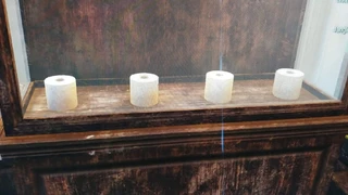 Игроки Fallout 76 заявили о нехватке туалетной бумаги в игре