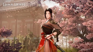 Не только на PC — количество возвращающихся игроков Black Desert на консолях составило 350%