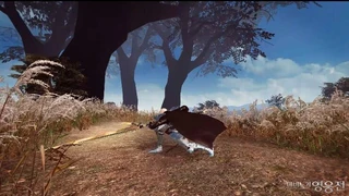 Kael появился в корейской версии Vindictus