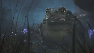 Официально анонсирована новая часть Fable от авторов Forza Horizon