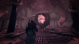 Обзор дополнения «Подопытный 2923» для Remnant: From the Ashes