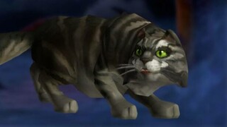 WoW: игроки спустя год разгадали загадку с котом из пустоты