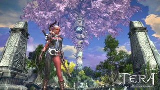 Новым издателем североамериканской версии TERA Online станет Gameforge