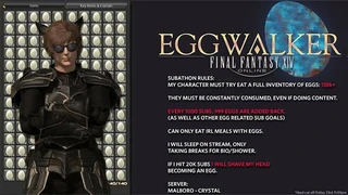 Игрок Final Fantasy XIV съел 147000 яиц за 7 дней без перерыва
