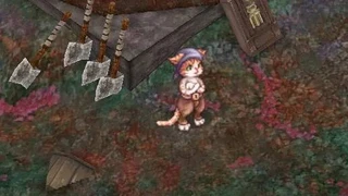 Обновление 10.08 для Ragnarok Online Prime добавило два подземелья: «Водосток» и «Пещера осьминога»