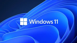 Windows 11 опережает Windows 7 по популярности среди пользователей Steam