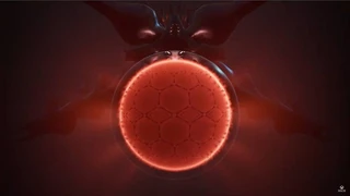 COCOON — новая приключенческая игра-головоломка от разработчиков Inside и Limbo