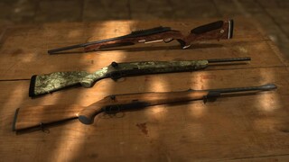 В симуляторе охоты  Way of the Hunter будет доступно оружие от известного производителя Steyr Arms