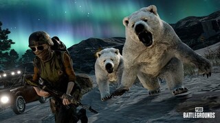 На игроков будет охотиться настоящий белый медведь — Главные нововведения грядущего патча для PUBG: Battlegrounds