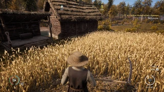 Итоги розыгрыша 3 ключей на полную версию Medieval Dynasty для PC
