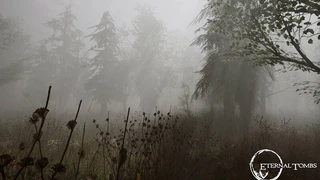 MMORPG Eternal Tombs ждет несколько этапов тестирования в 2024 году, а релиз запланирован на 2025 год