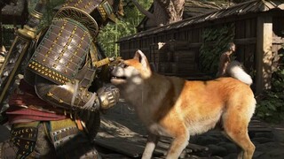 Расширенный геймплей Assassin's Creed Shadows за синоби Наоэ и самурая Ясукэ