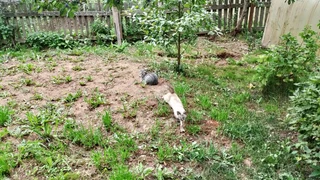 Празднуем день рождения мира танков!