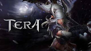 Выбор названия для нового класса в TERA