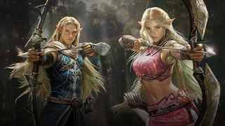 NCSOFT обсуждает запуск классической версии MMORPG Lineage
