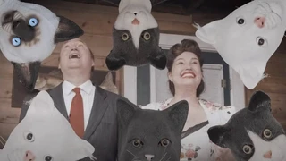 Безумный трейлер игры про кошек Mewgenics от авторов The Binding of Isaac и The End is Nigh