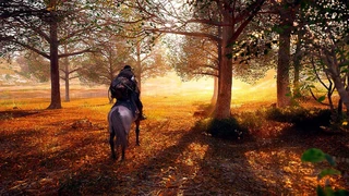 Pearl Abyss укрепляет позиции на мировом рынке — Crimson Desert станет ключевым проектом студии