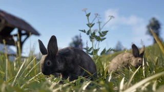 Без подписки в MMORPG Pax Dei вы не сможете владеть собственным домом