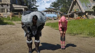 Социальные функции и «Точное действие» Карока в майских дневниках разработчиков Vindictus: Defying Fate