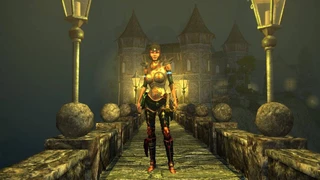 Ремастер Sacred 2 поступил в продажу