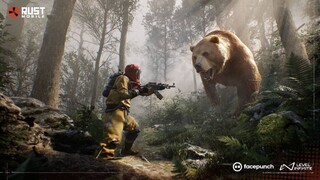 Тестирование Rust Mobile было перенесено — Разработчики не справились с нагрузкой на серверы и совместимостью