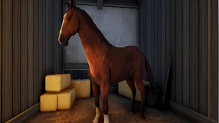 Приручение маунтов в MMORPG Pantheon: Rise of the Fallen станет отдельным навыком