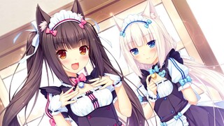 Англоязычная версия Nekopara Sekai Connect вышла на мобильных устройствах