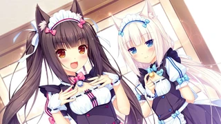 Англоязычная версия Nekopara Sekai Connect вышла на мобильных устройствах