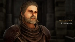 Ролевая игра Of Ash and Steel получила крупный патч с рандомным подземельем, быстрым перемещением и настройкой внешности