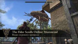 Игровой процесс дополнения Morrowind для ESO