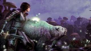 Игровой процесс за Вардена в The Elder Scrolls Online: Morrowind