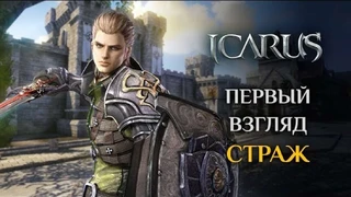 Локализаторы Icarus поведали о классе Страж