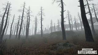 Подробности обновления для PlayerUnknown's Battlegrounds и тизер тумана