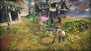 Дома и ресурсы в A:IR (Ascent: Infinite Realm)