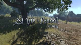 Life is Feudal: MMO обзаведется обновленной картой